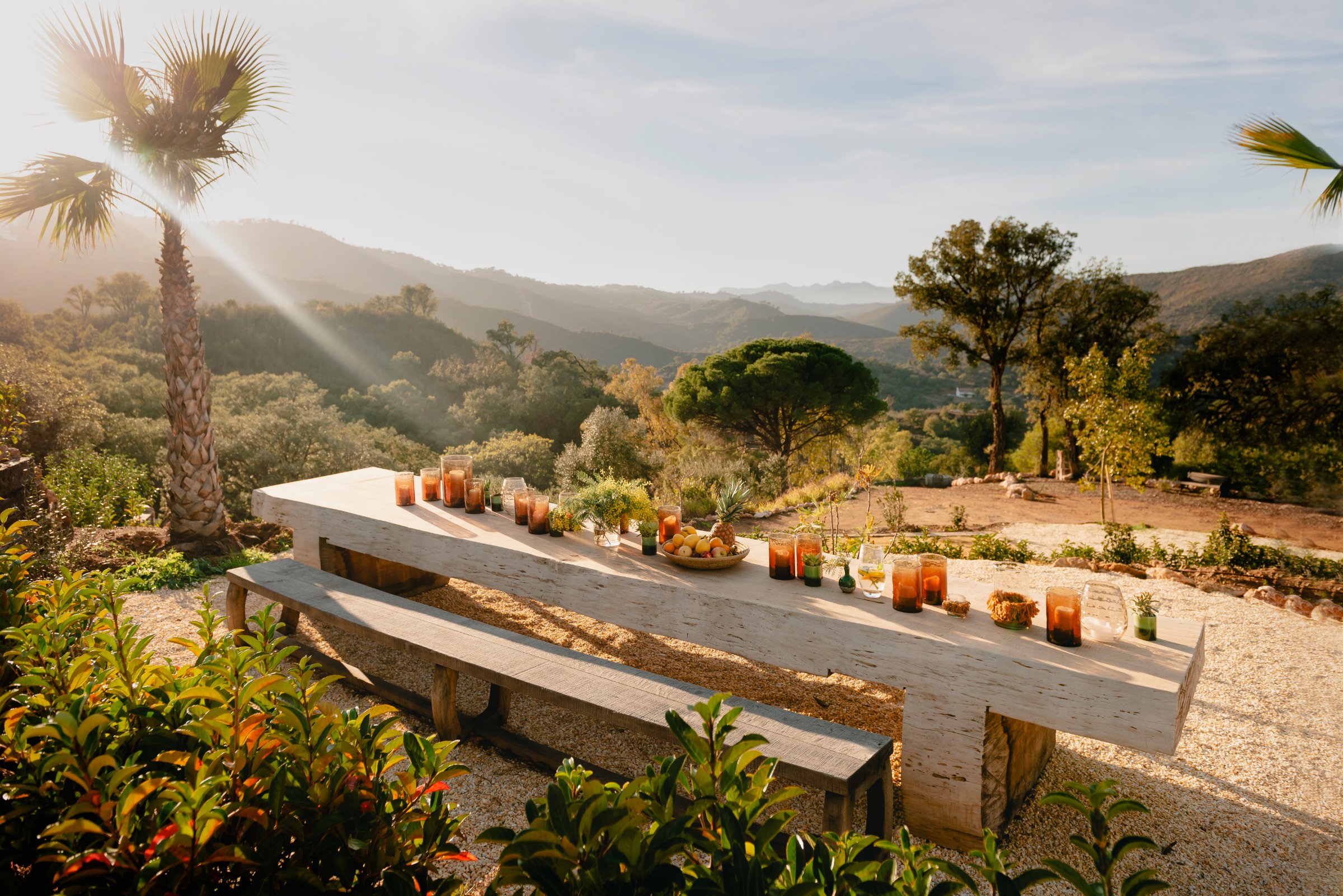 The baobab wood dining table at golden hour, amber glassware