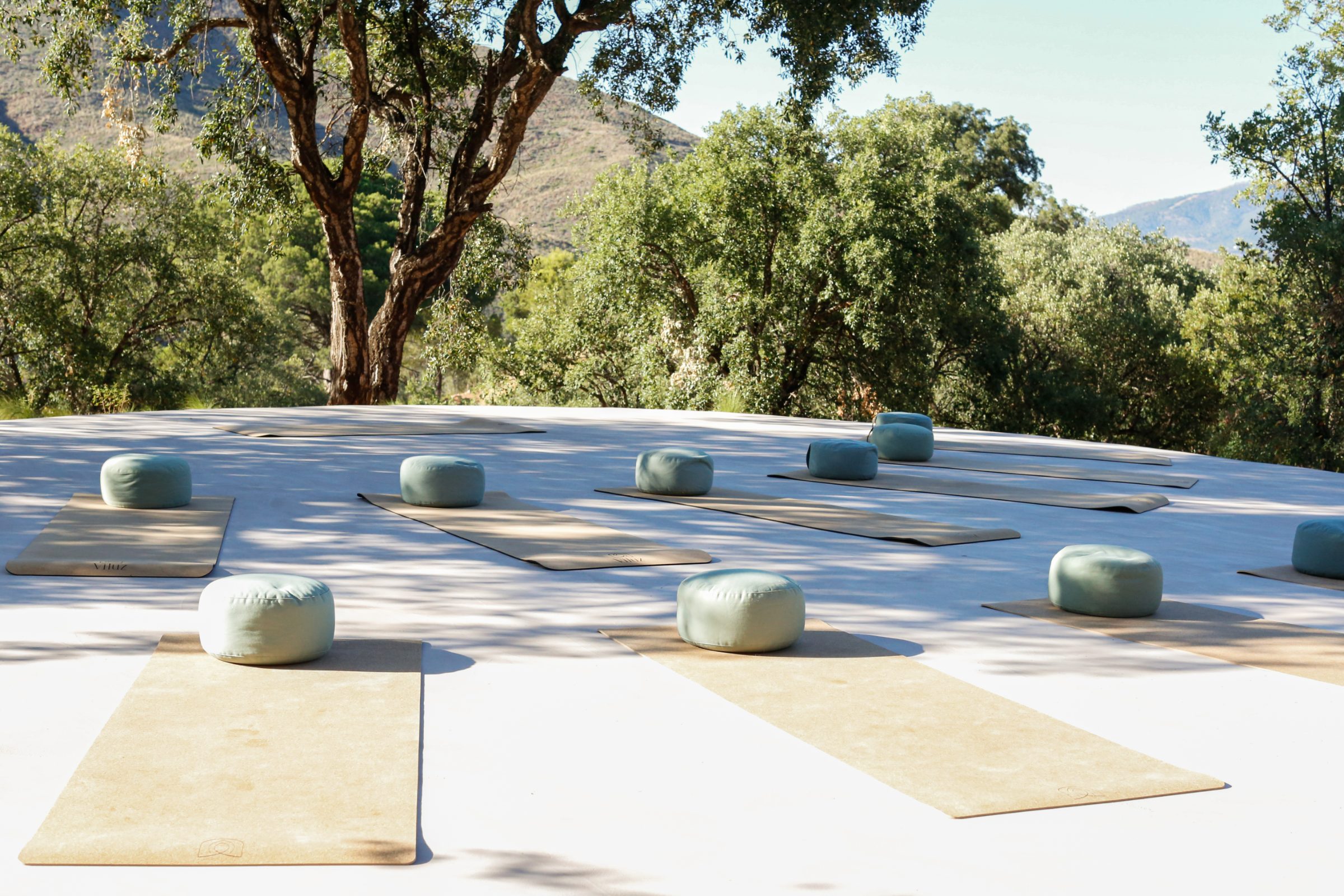Yoga deck from above — mats in arc, surrounded by forest